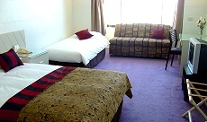 Resort Room